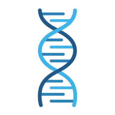 Secuencia de ADN que ilustra la predisposición genética al bruxismo y su intensidad