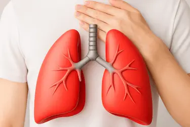 Pulmones sobre el pecho que muestran la relación entre infecciones respiratorias y mal sabor de boca