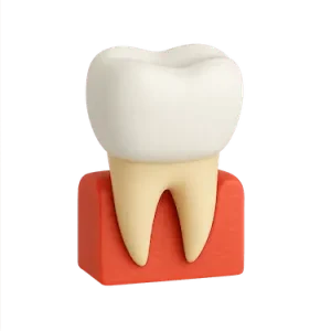 Representación de corona dental de disilicato de litio sobre diente natural con alta estética