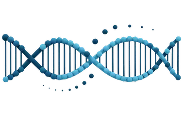 Factores genéticos que influyen en la predisposición a desarrollar caries dentales