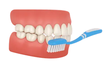 Técnica correcta de cepillado dental para reducir la sensibilidad y proteger el esmalte