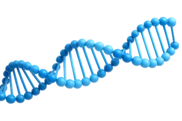 ADN como factor genético del color amarillento de los dientes