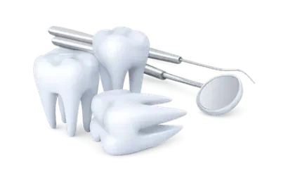 Piezas dentales con instrumental odontológico para tratamientos dentales en Murcia