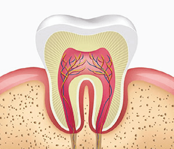 especialista en endodoncia